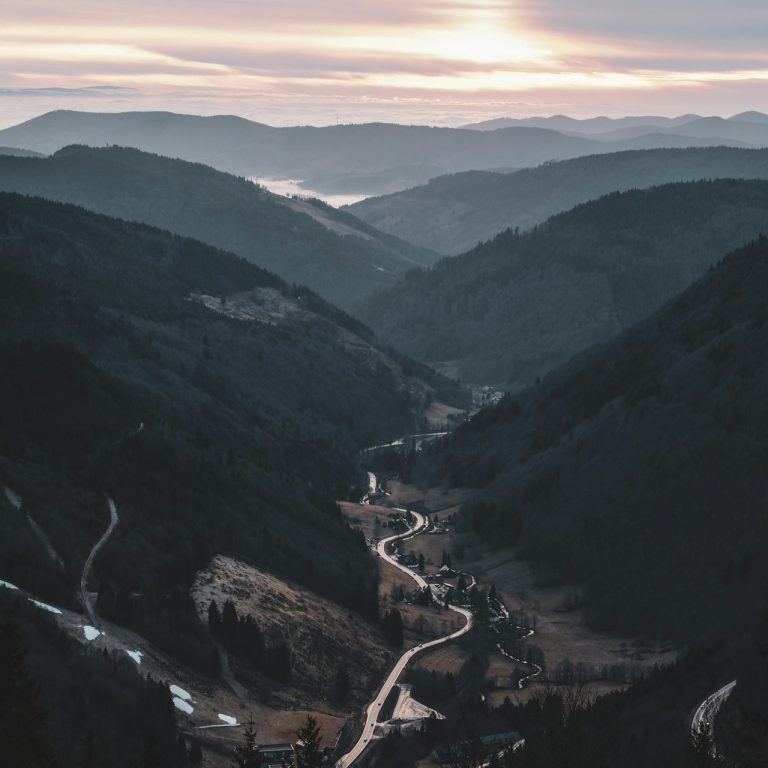 Schwarzwald Schwarzwald