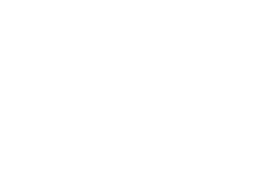 Schwarzwälder Natursandsteine Logo der Schwarzwalder Natursandsteine mit Felsen und Baum-Symbol.